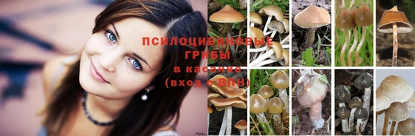 Альфа ПВП Козельск