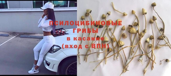 ECSTASY Кодинск